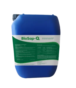 BioSap-Q