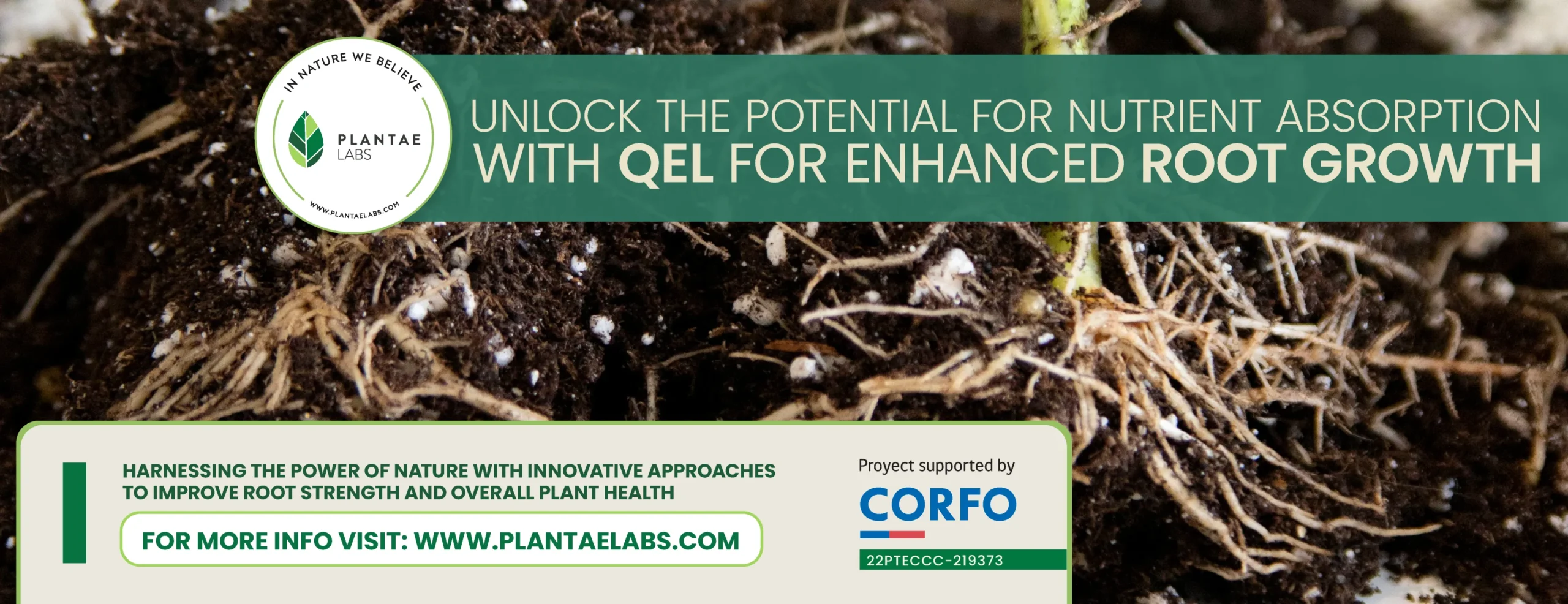 QEL: Enhancing Root Growth and Vitality Through Sustainable Upcycling 