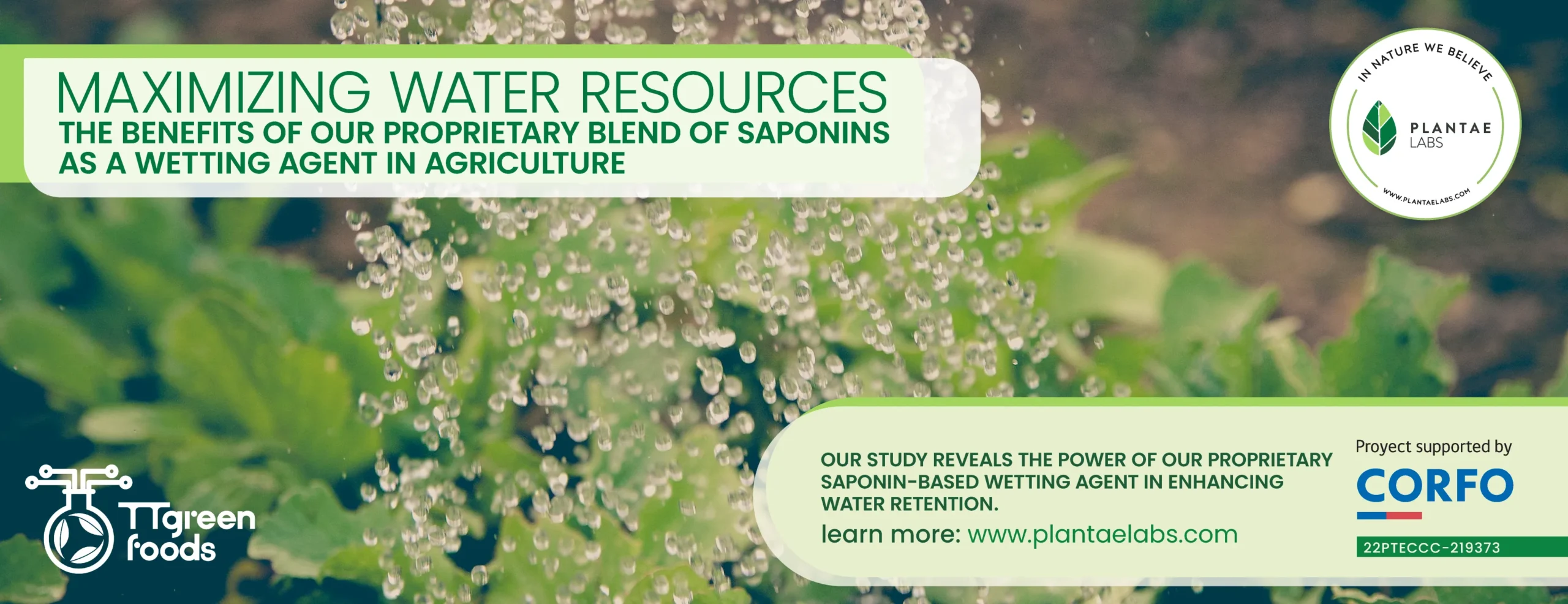 Maximizing Water Resources: The Benefits of Our Proprietary Saponin-Based Wetting Agent in Agriculture